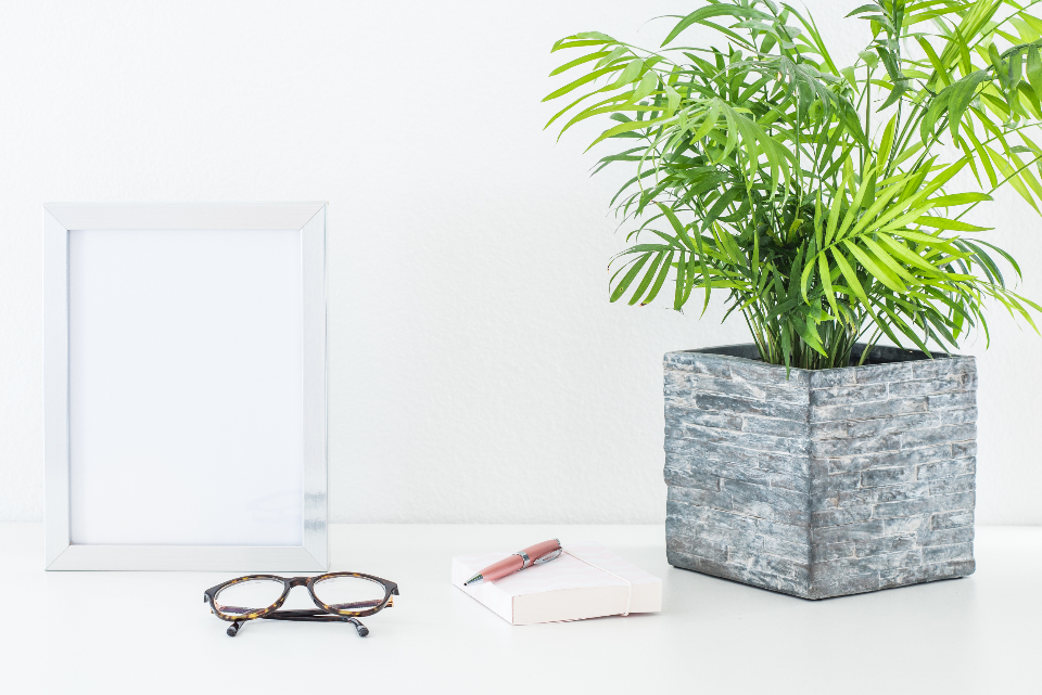 Marco vacío, gafas, una libreta y una planta sobre una mesa blanca, composición minimalista de papelería